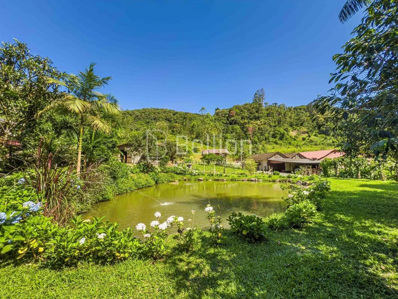 Sítio com lago e riacho em Rio dos Cedros - Foto 3
