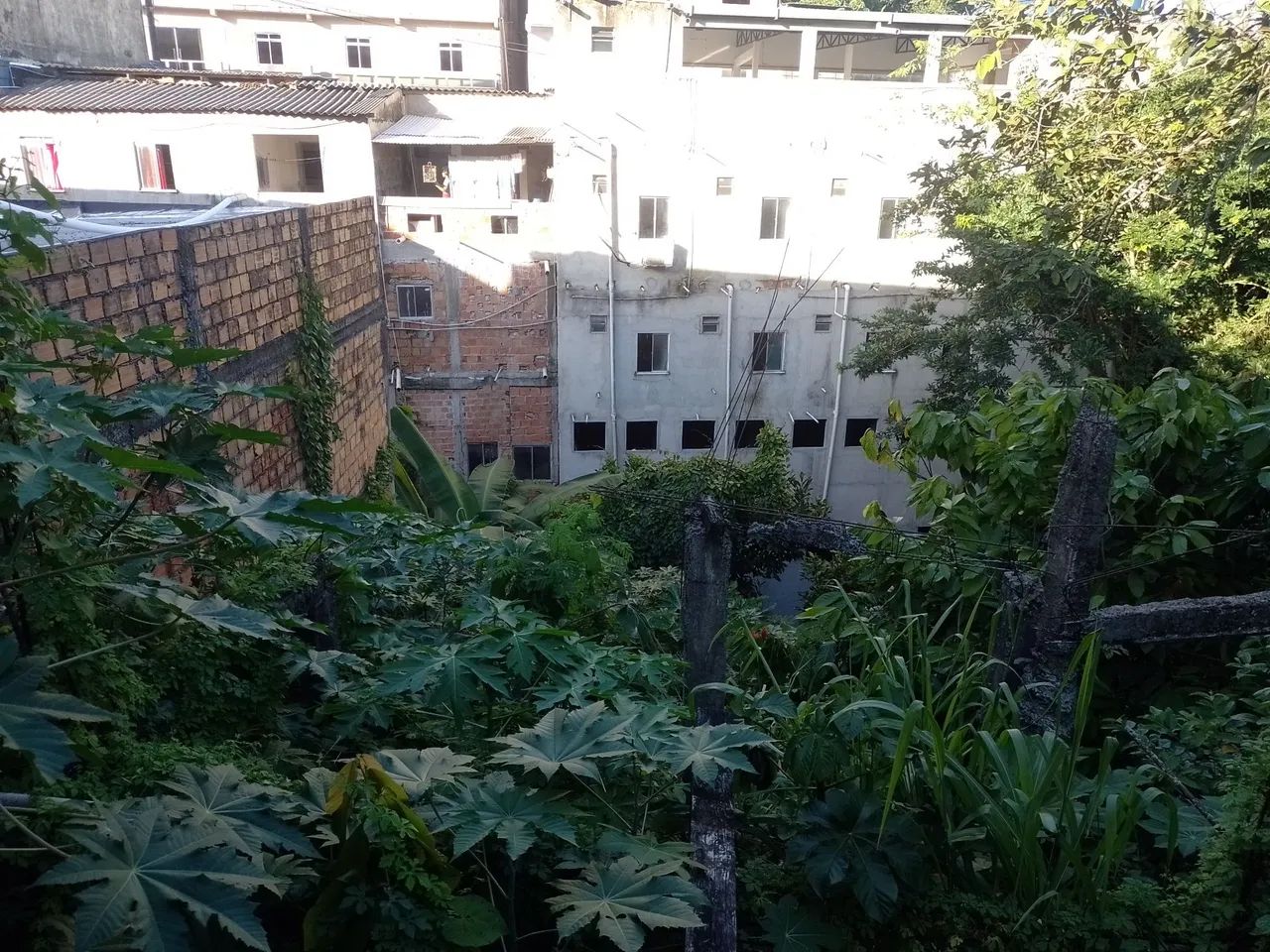 Vendo Terreno em Plataforma - Foto 3