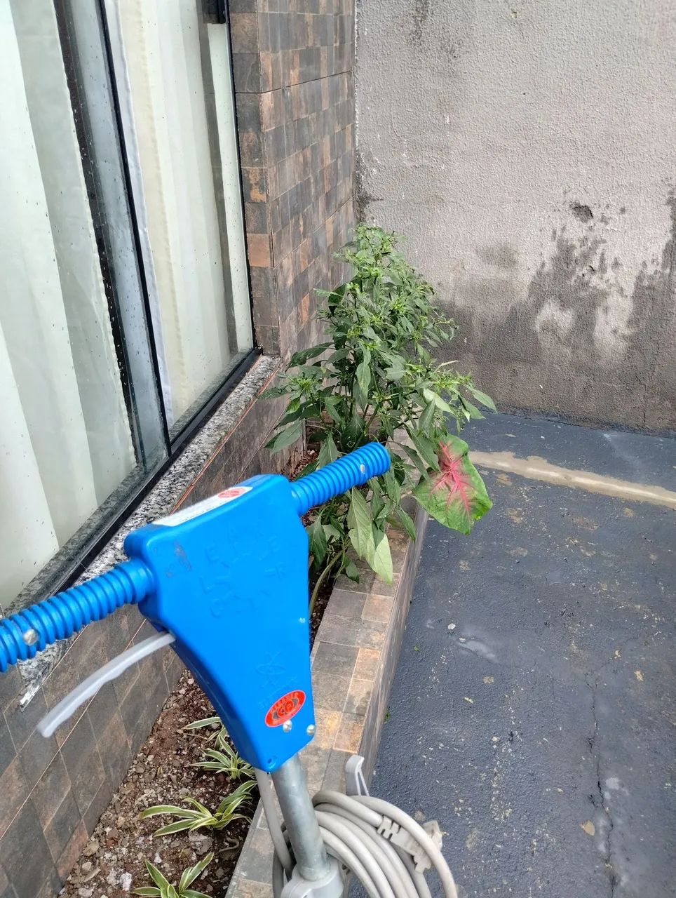 Enceradeira clener 350 praticamente zera usada 2 vezes com nota fiscal 1550 reais  - Foto 6