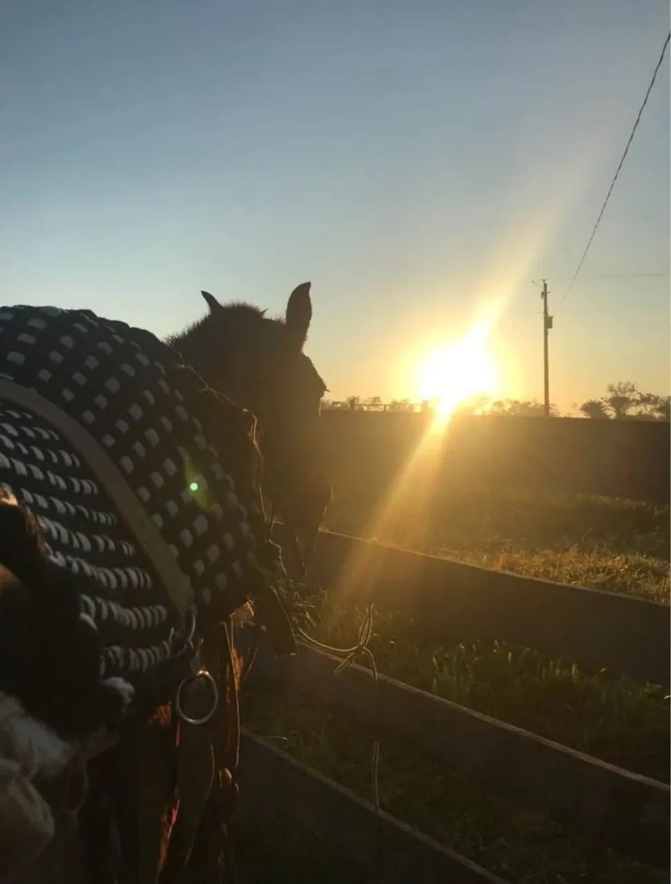 Fazenda a venda  - Foto 5
