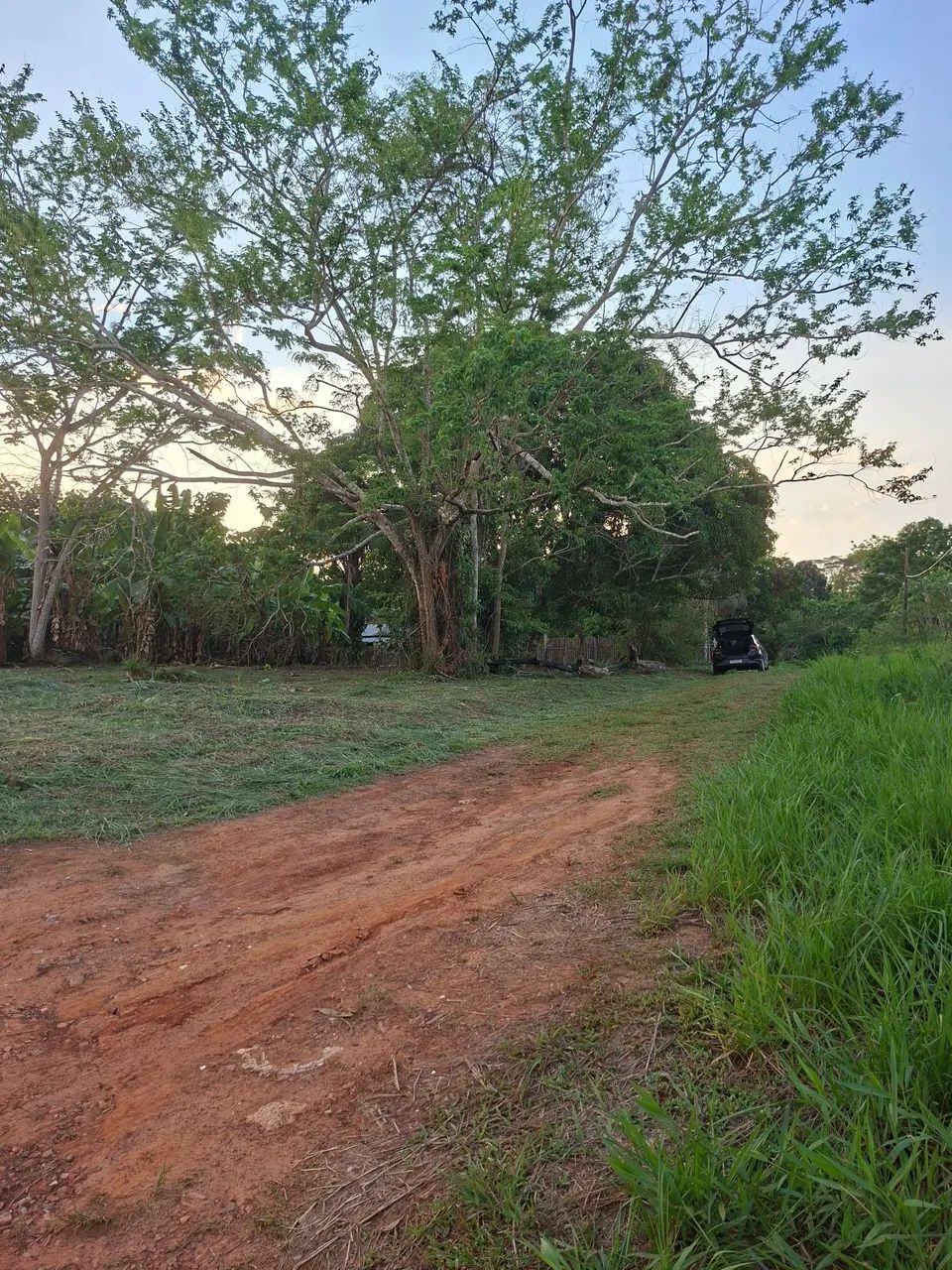 Vendo custodio freire - Foto 2