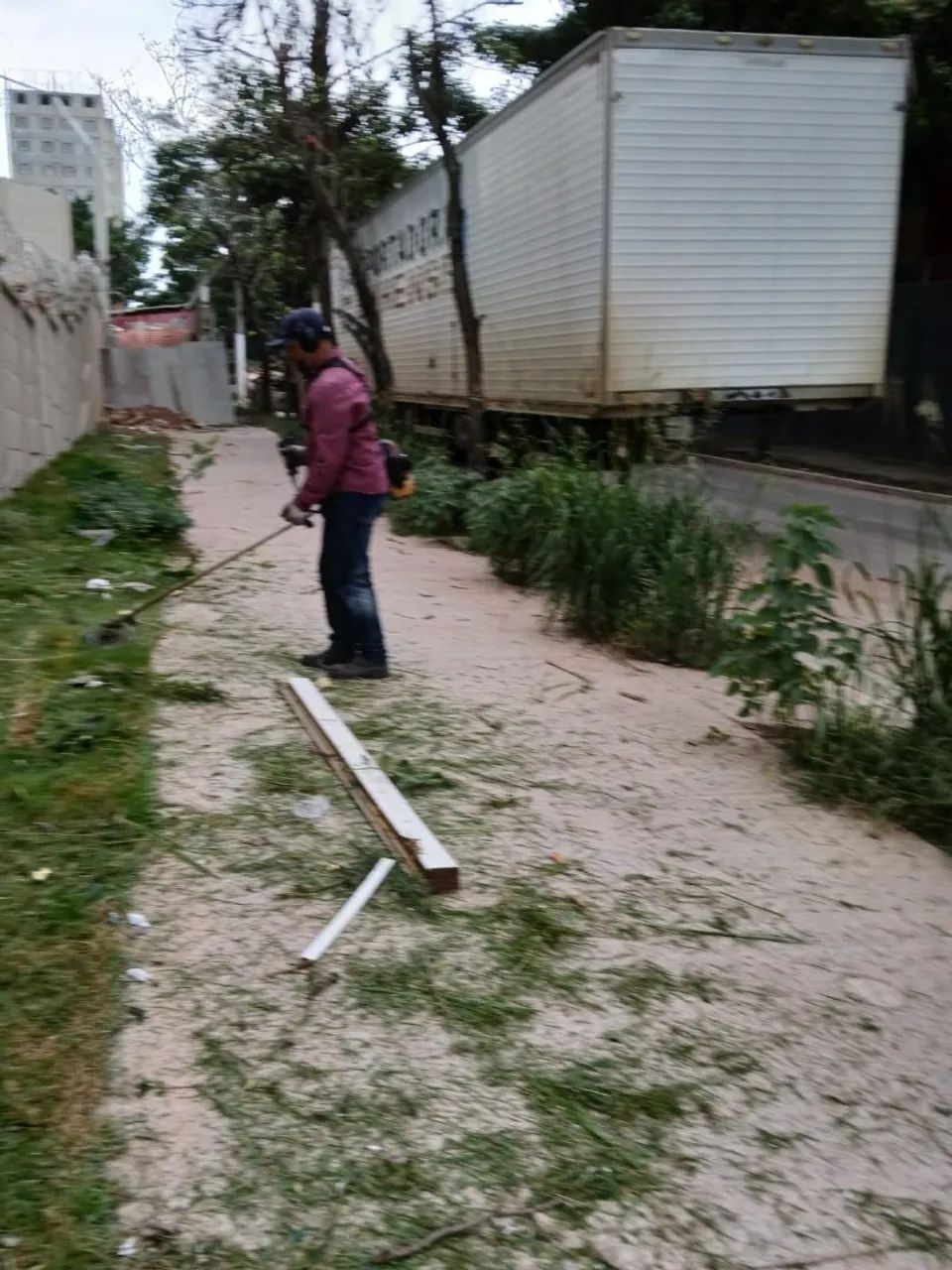 Jardineiro - Foto 5