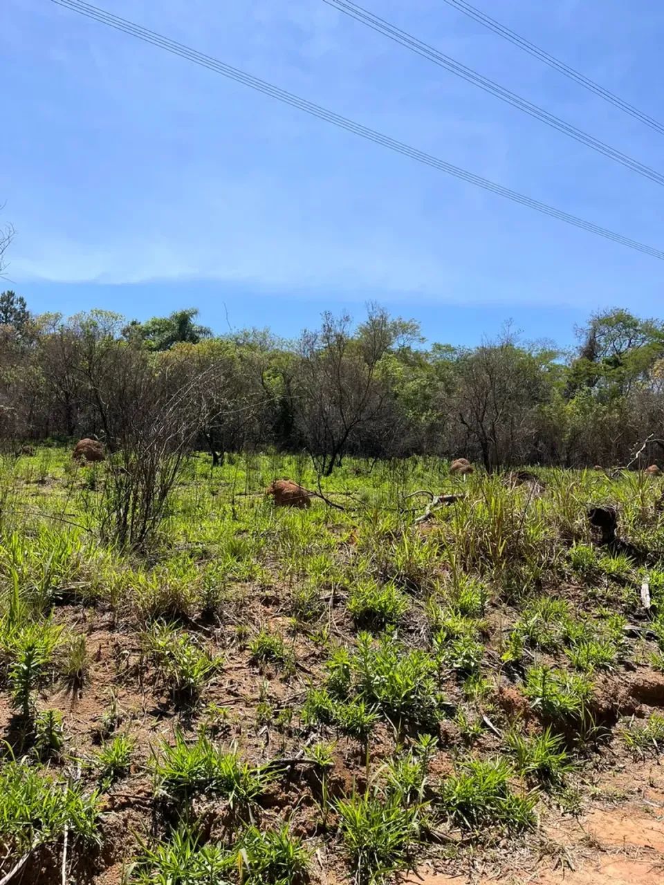 85A- SEU PARAÍSO EM ATIBAIA! - Foto 4