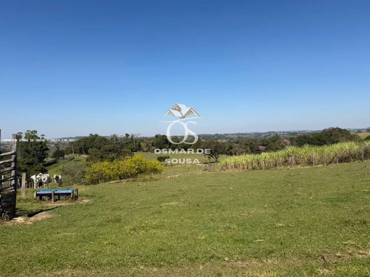 Sítio de 02 Alqueires em Porangaba - SP - Foto 4
