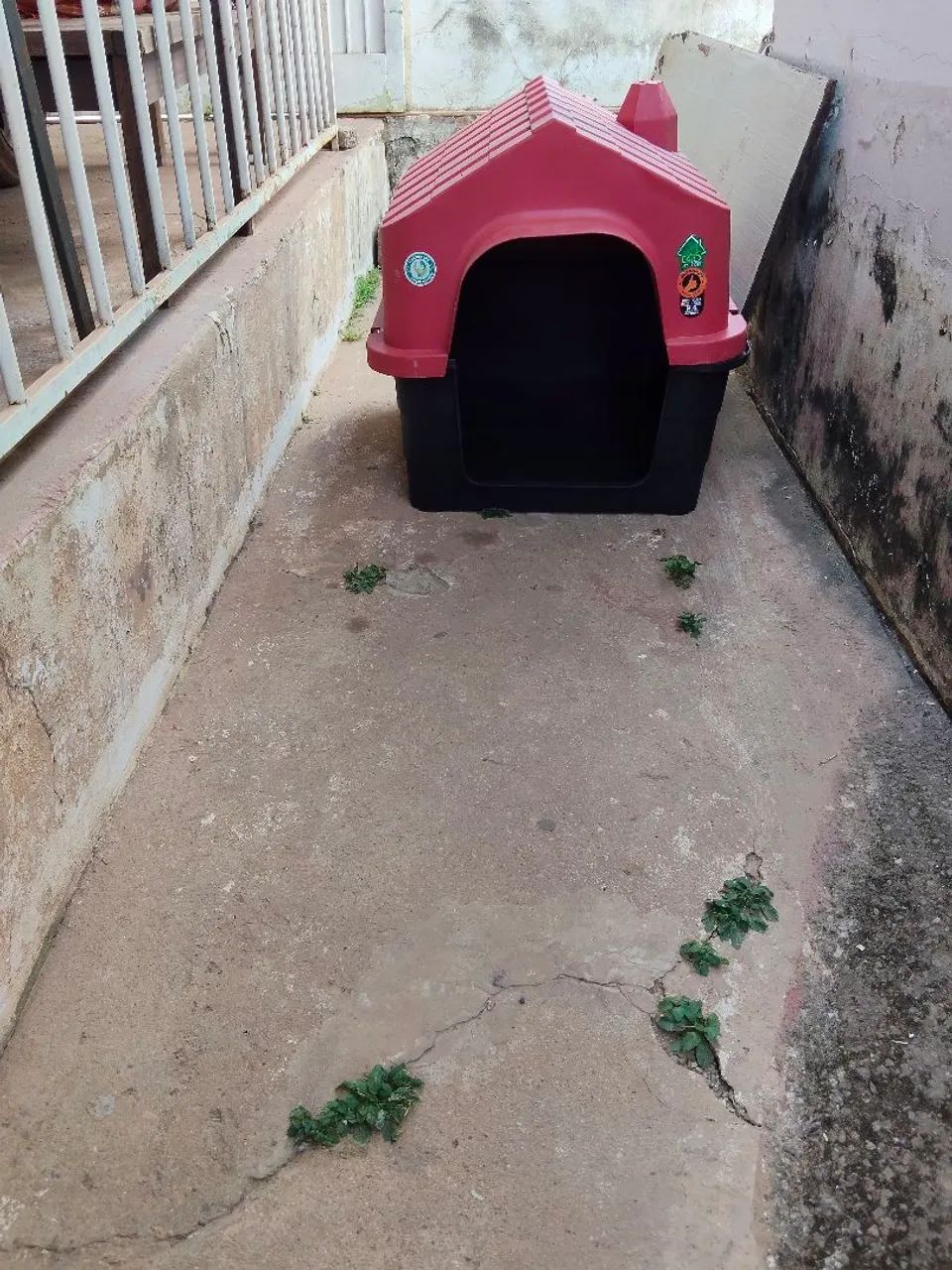 Casinha para cachorro  - Foto 3
