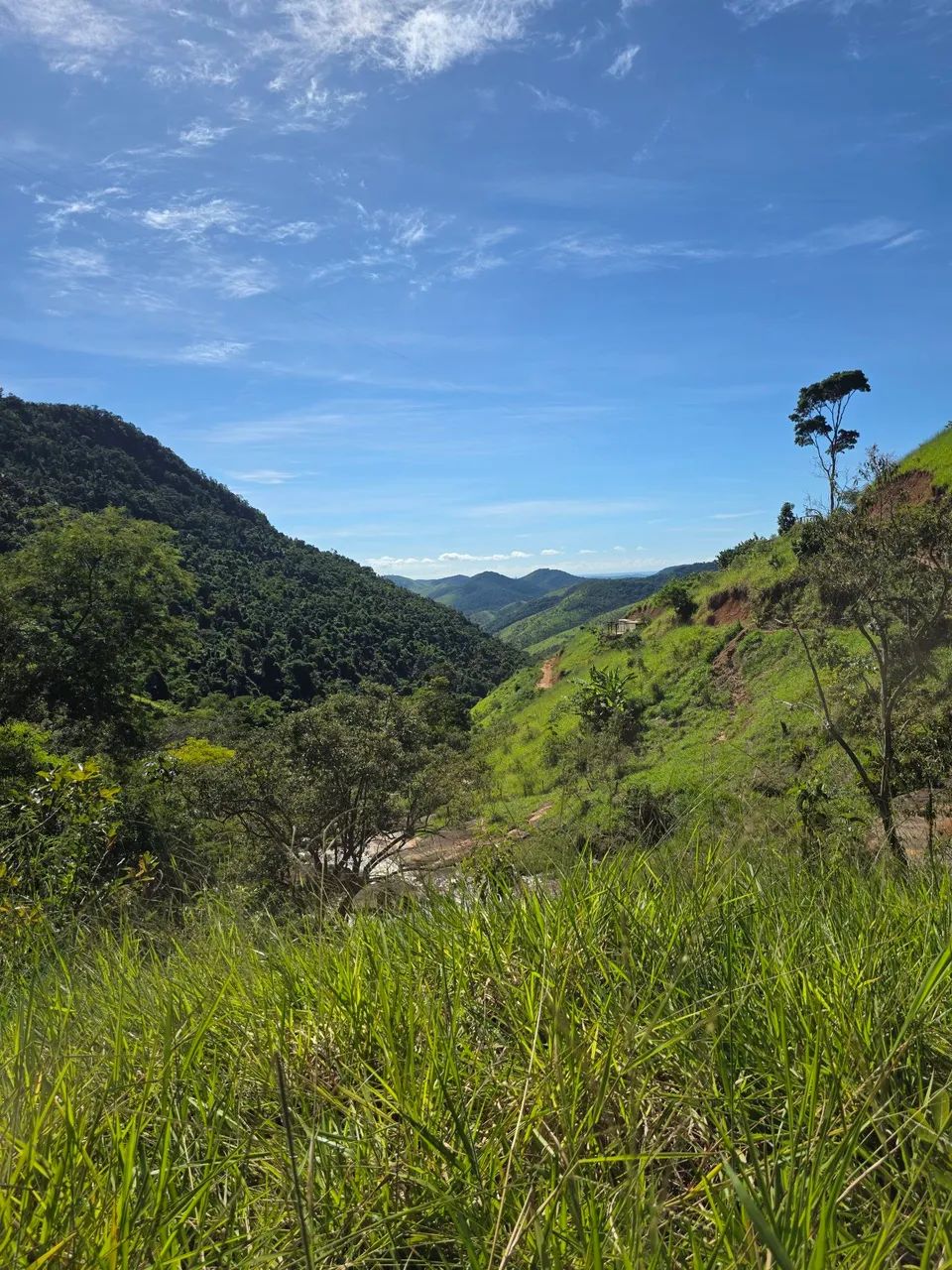 FAZENDA FLORESTA Chácara 4500 metros  - Foto 5