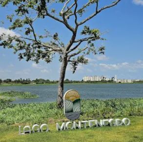 Lote Condomínio Lago Montenegro  - Foto 4
