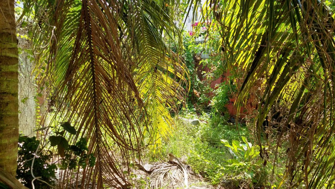 VENDO 02 Lotes juntos a 100 metros do mar com  720m² em Candeias - PE - Foto 7