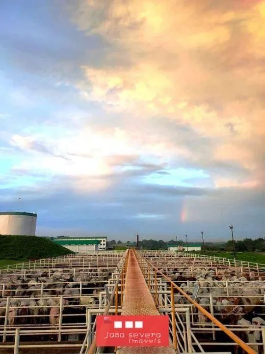 Área Industrial para Venda em Matupá - Foto 2