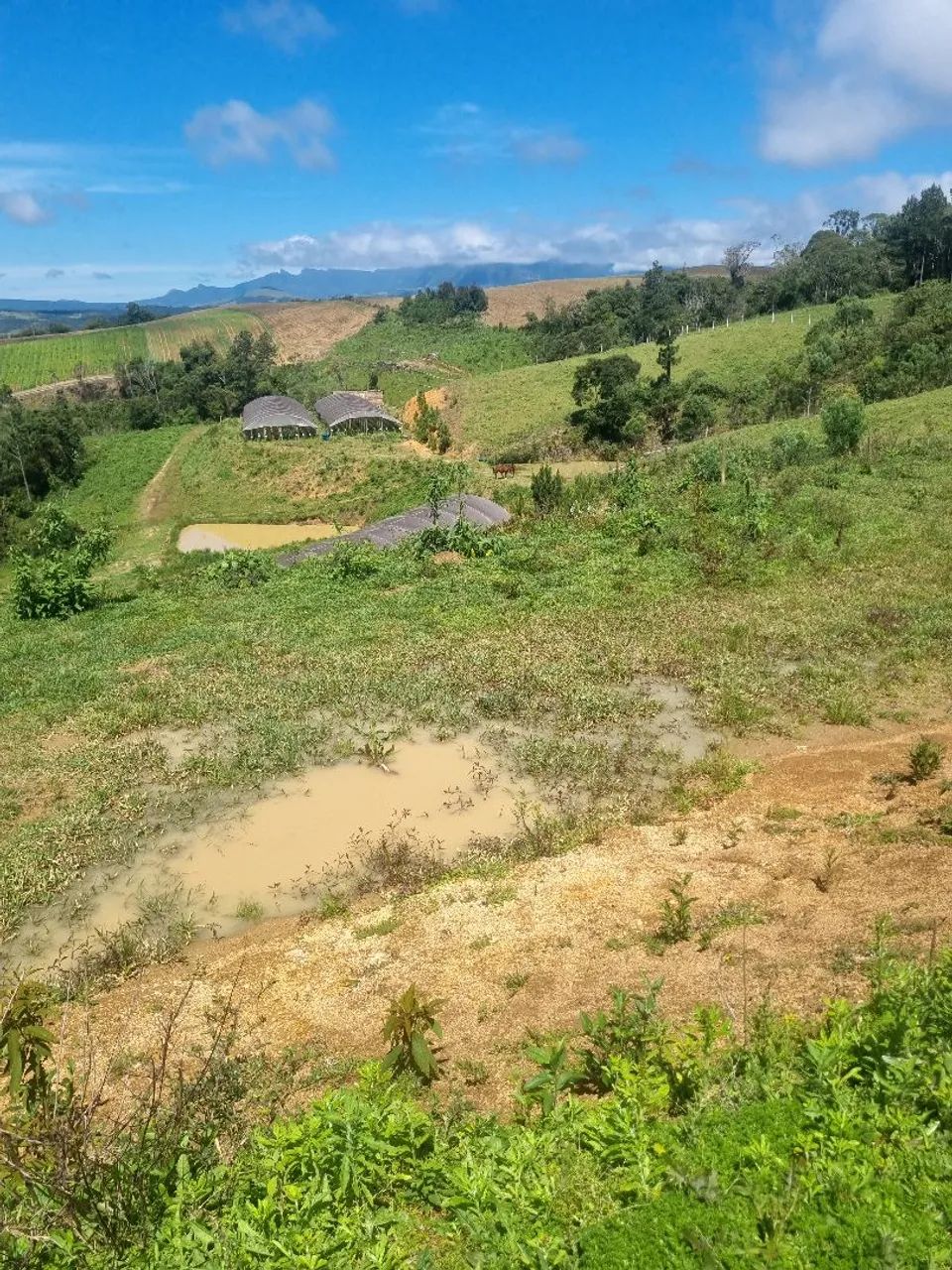 Terreno 
