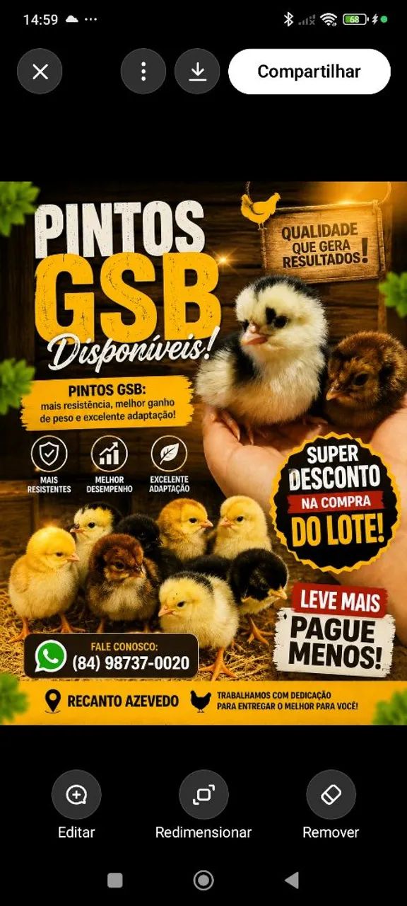 Pintos GSB