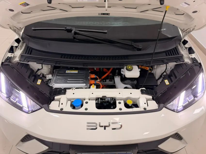 BYD Dolphin Mini (Elétrico) 2026 - Foto 5