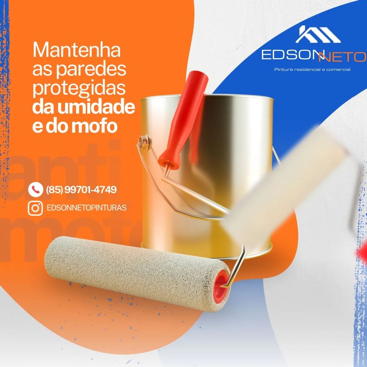 Pintor Profissional 