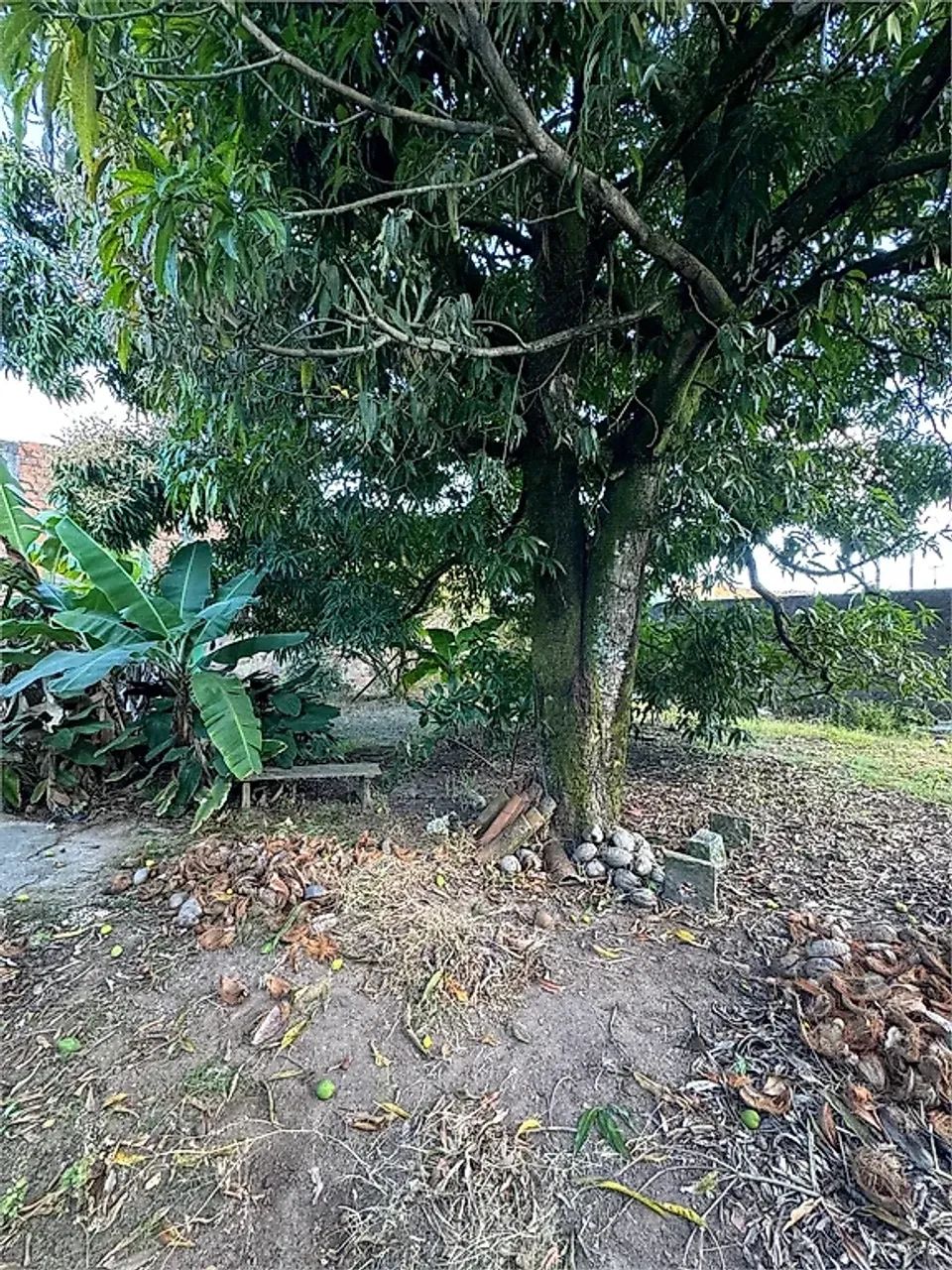 Terreno 258m² - Tabuleiro Do Martins - Foto 4