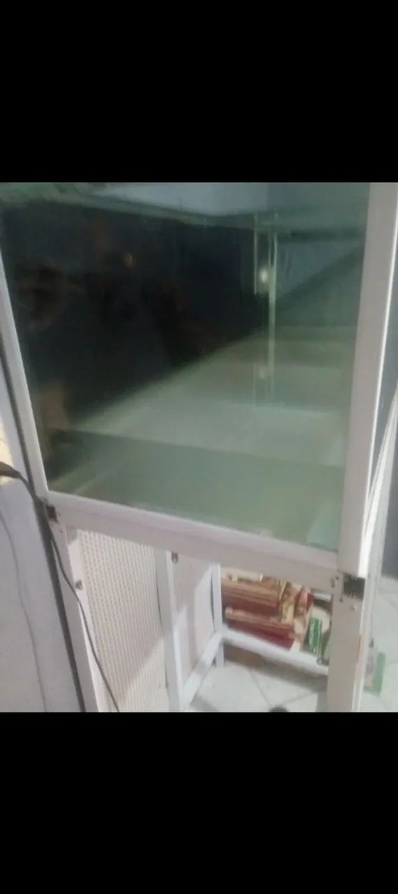 Aquário  - Foto 4