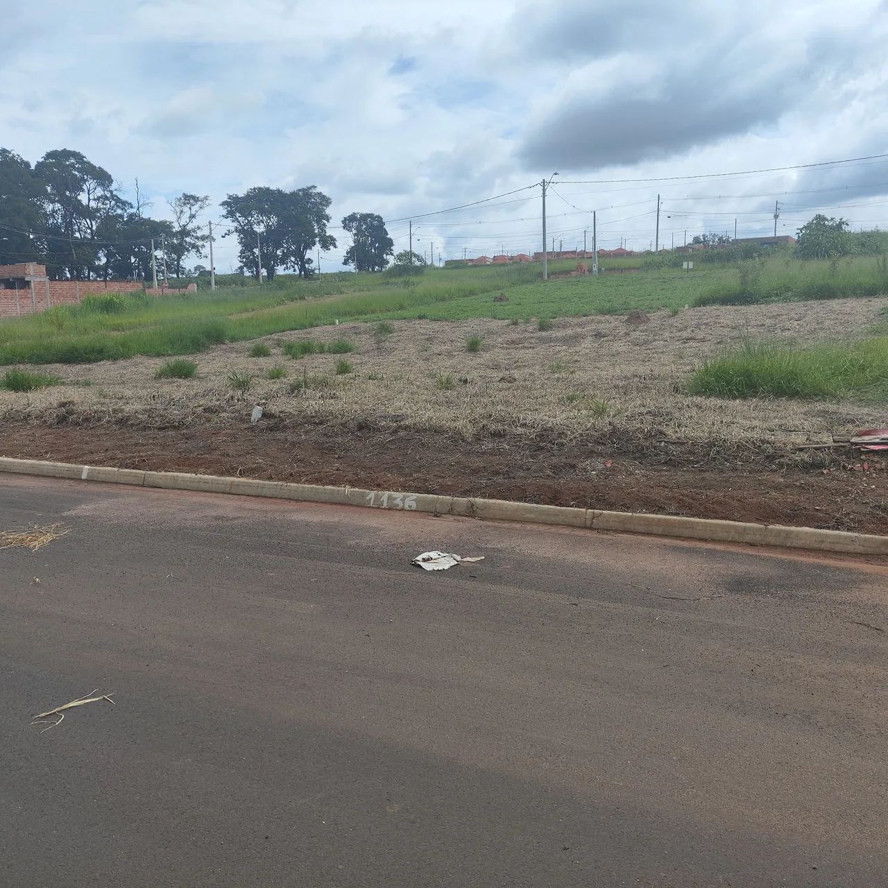 Foto - Araraquara - Parque Igaçaba
