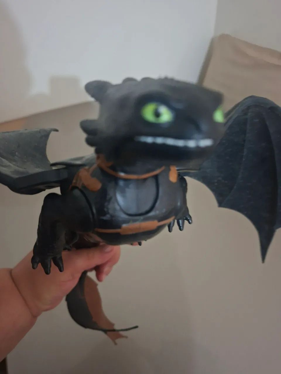 Dragao banguela - Foto 5