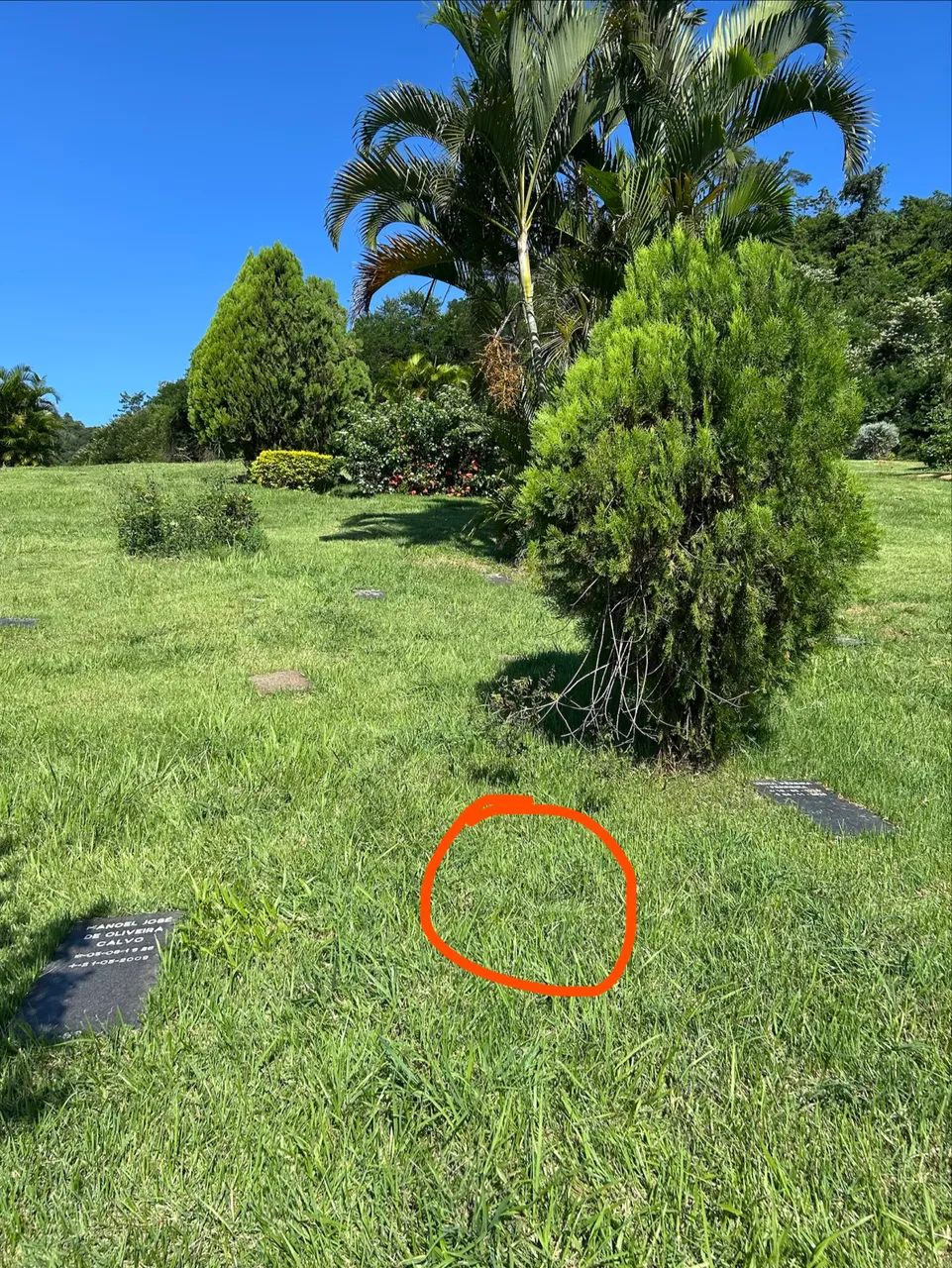 Jazigo em ótima localização no parque da colina  - Foto 2