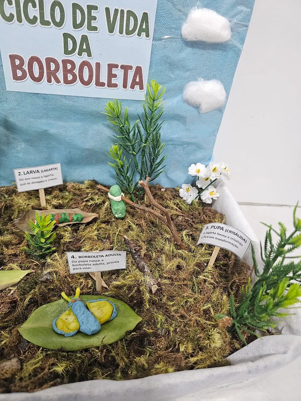 Maquete borboleta - Foto 3