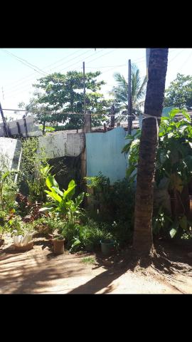Vende -se terreno, Rua Memorial Arcoverde, obs.: Dá -se o nome de rua,mas é beco