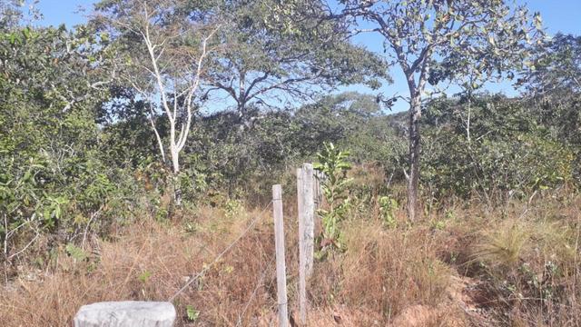 Vendo chacara na estrada manso, 7 hec, r$ 90 mil, pego carro - Foto 5