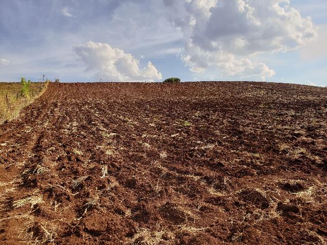 Sítio em Abatiá, Norte Pioneiro do Paraná (54.450 m2) - Foto 2