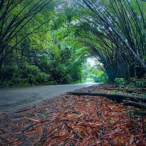 Casa de Praia em Tamandaré - Foto 5