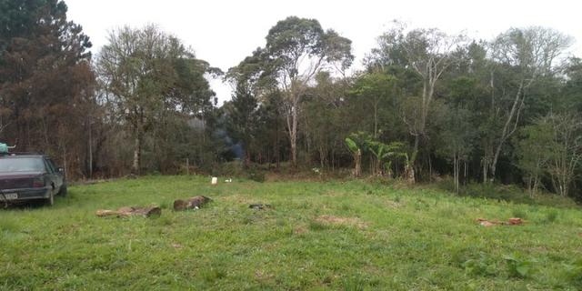 Chácaras em são jose dos pinhais - Foto 3