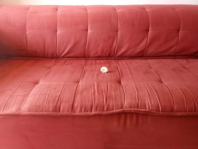 Sofá sujo tem solução? - Foto 4