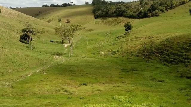 Fazenda em São José da Coroa Grande - Foto 5