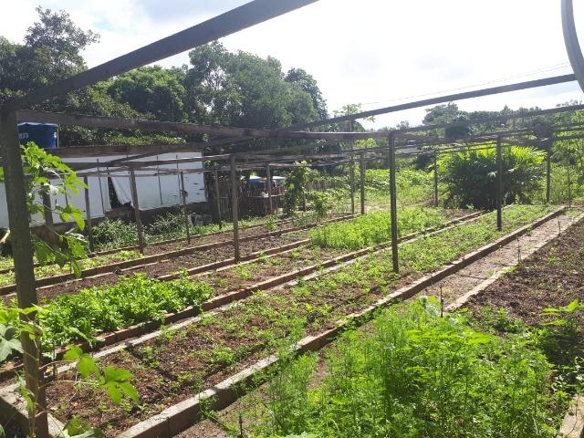 Sítio em Barra do Pojuca 9100m² - Foto 11