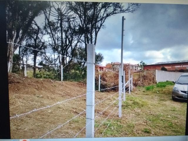 Terreno em S.J.Pinhais - Foto 8
