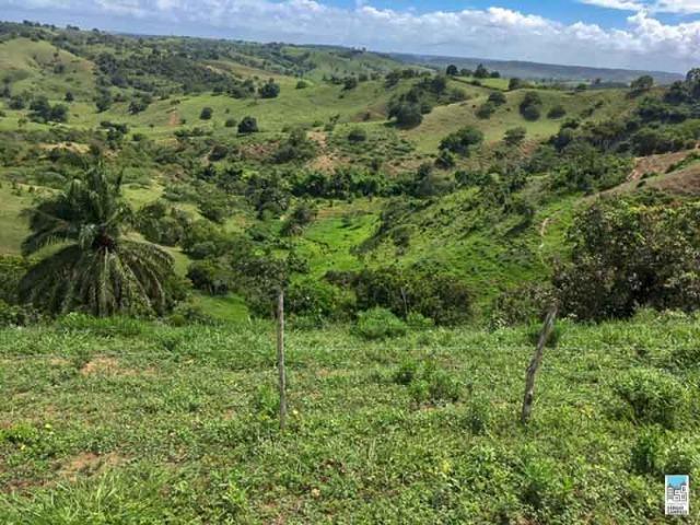 Excelente Fazenda em Amélia Rodrigues - Bahia