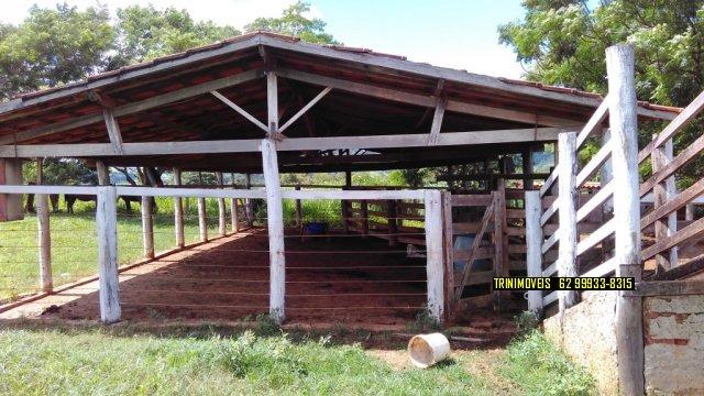 Fazenda de 13 alq. em Trindade - Foto 10