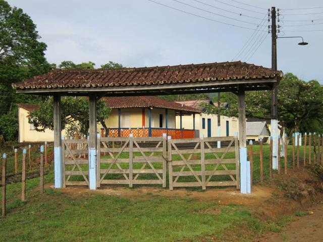 Vendo fazenda mista, cacau e gado - Foto 4