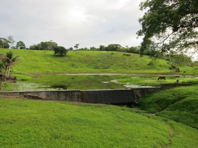 Vendo fazenda mista, cacau e gado - Foto 7