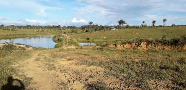 Fazenda em Roraima na BR210 - Caroebe - Foto 7