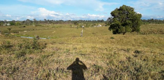 Fazenda em Roraima na BR210 - Caroebe - Foto 9