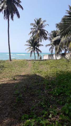 Lote de terra a beira mar do riacho doce