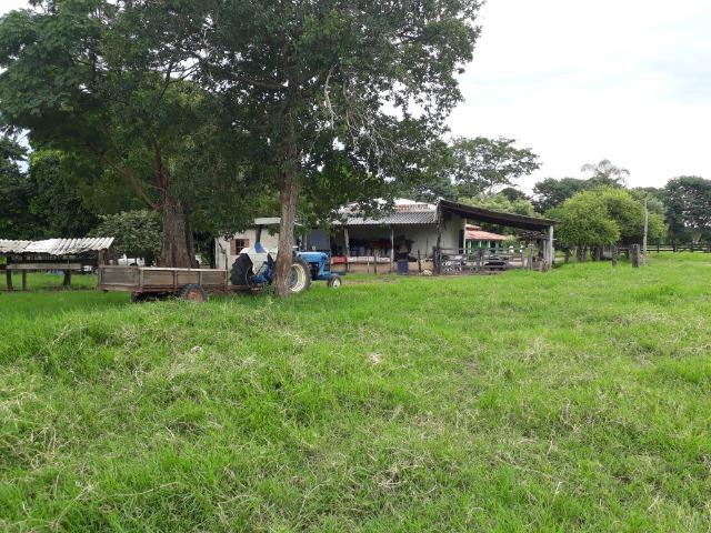 Área para confinamento ou laticínio na comunidade olho dagua na BR 364 a 30 km de Cuiabá - Foto 20