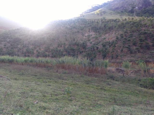 Venda-se está propriedade de 12 alqueires no Município de Muqui/ES