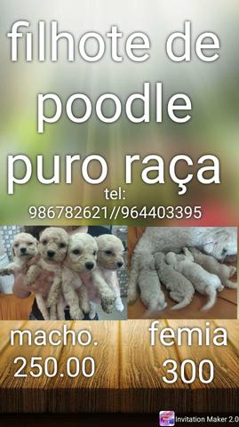 Vendo - Foto 2