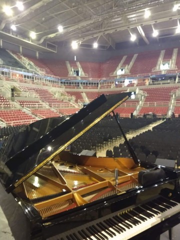 Piano 3/4 cauda  - Foto 3