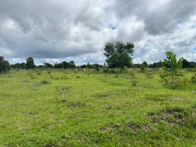 Vendo lindo sitio na praia de Cumuruxatiba ! - Foto 10