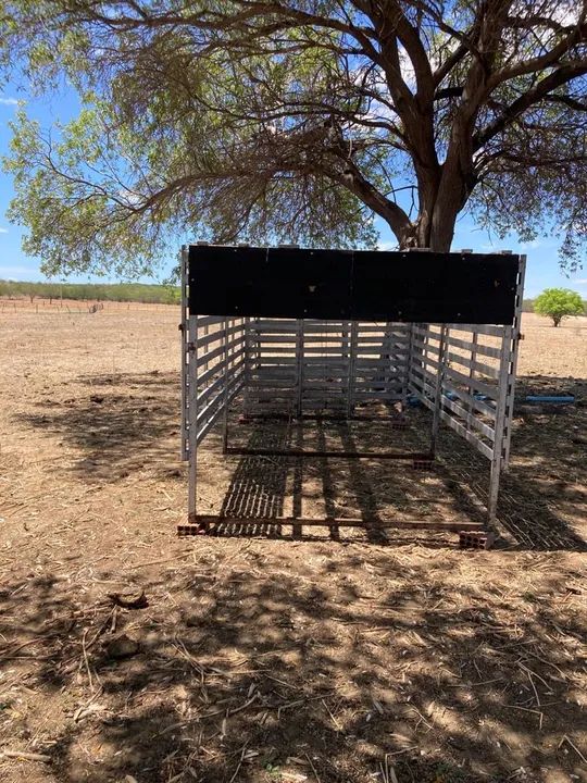 Gaiola de madeira para animais - Foto 5