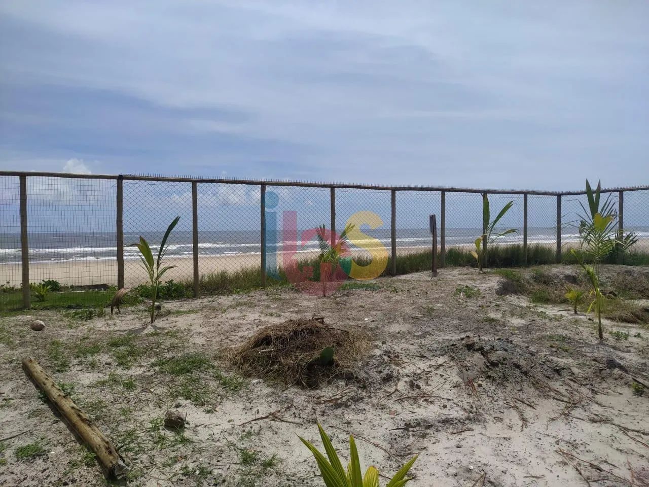 Lote no Sirihyba III - Foto 3