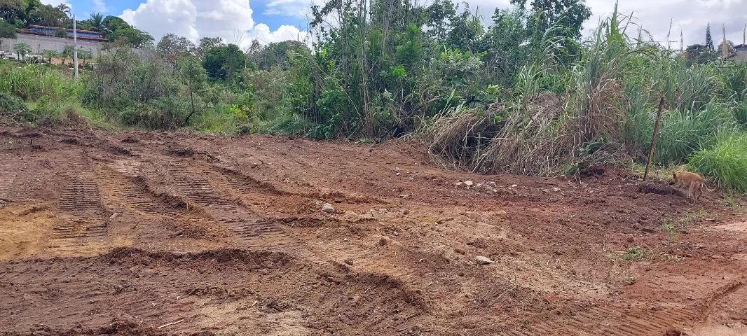 lotes enseada das garças - Foto 15