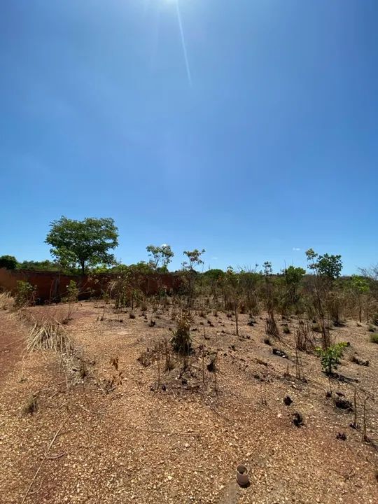 foto - Teresina - Angelim