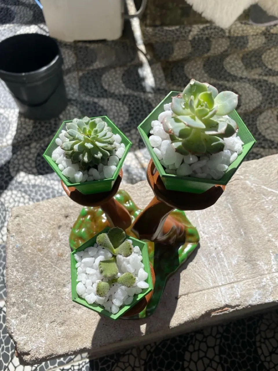 Mini Vasos Decorativos com Suculentas