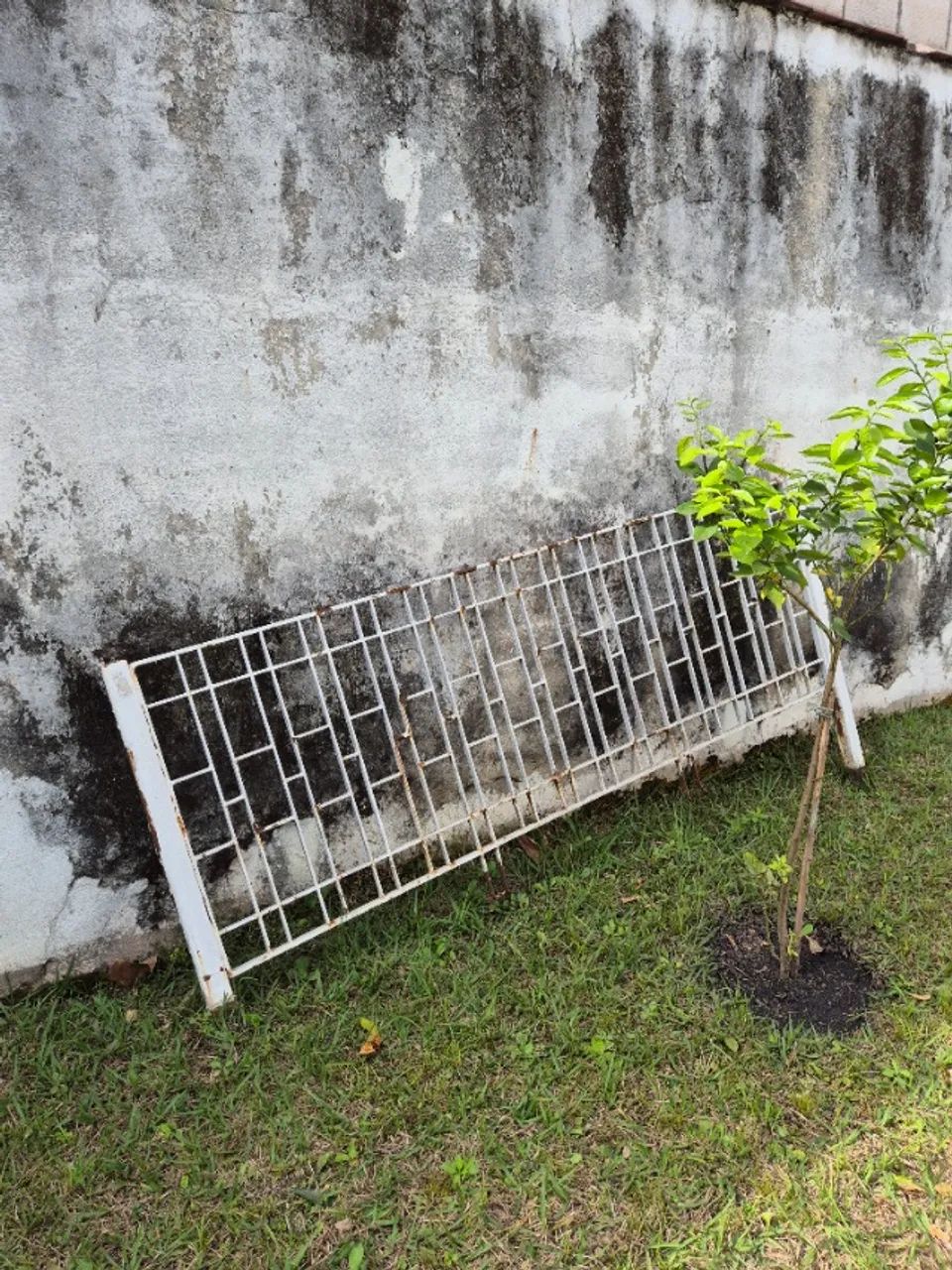 2 Portões + Gradeado Branco Ferro - Foto 3